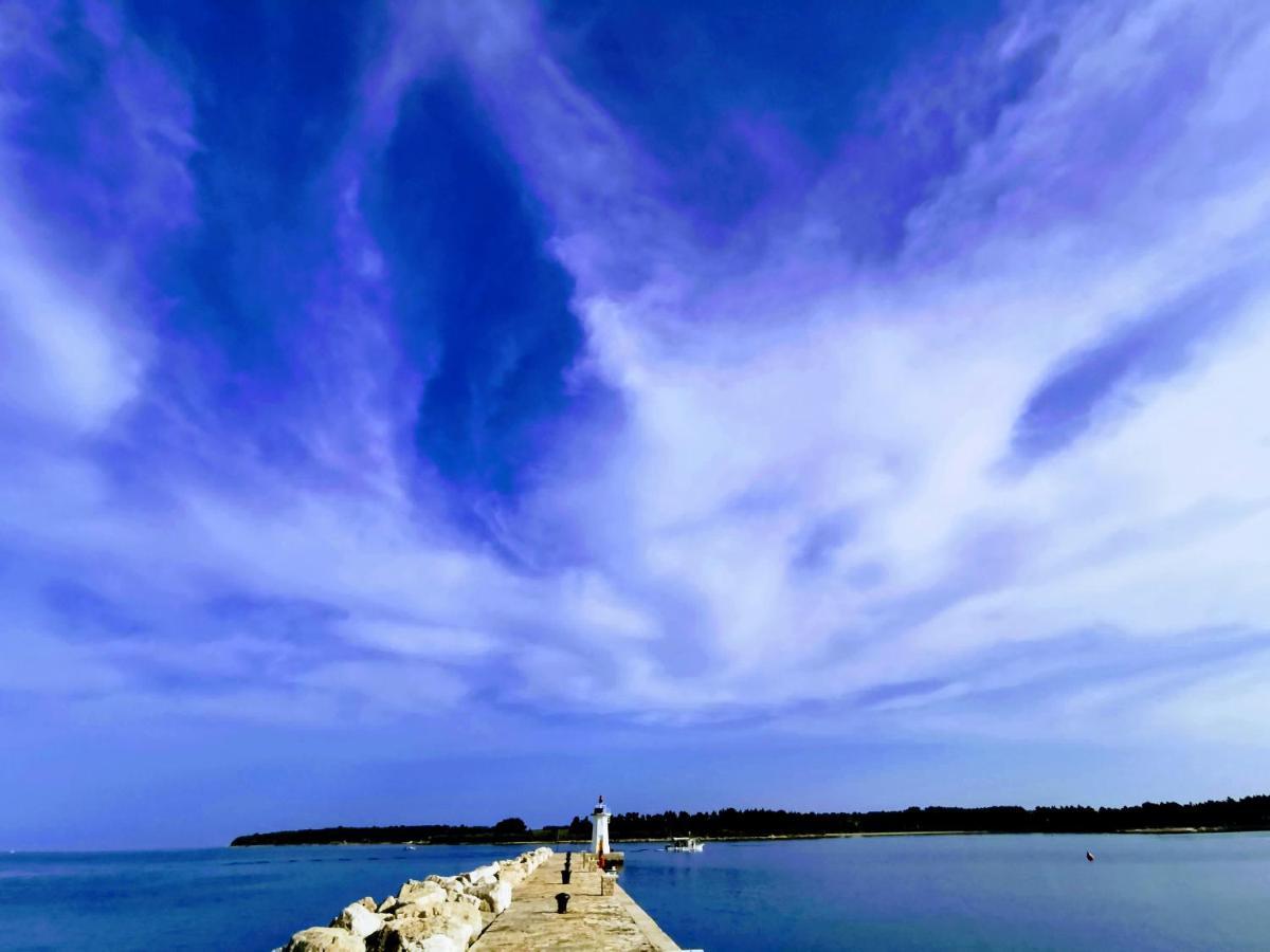 Lora Deluxe Superior 5 Star Apartment, Your Piece Of Heaven By The Sea & Park With Sea & Park View Novigrad  Bagian luar foto