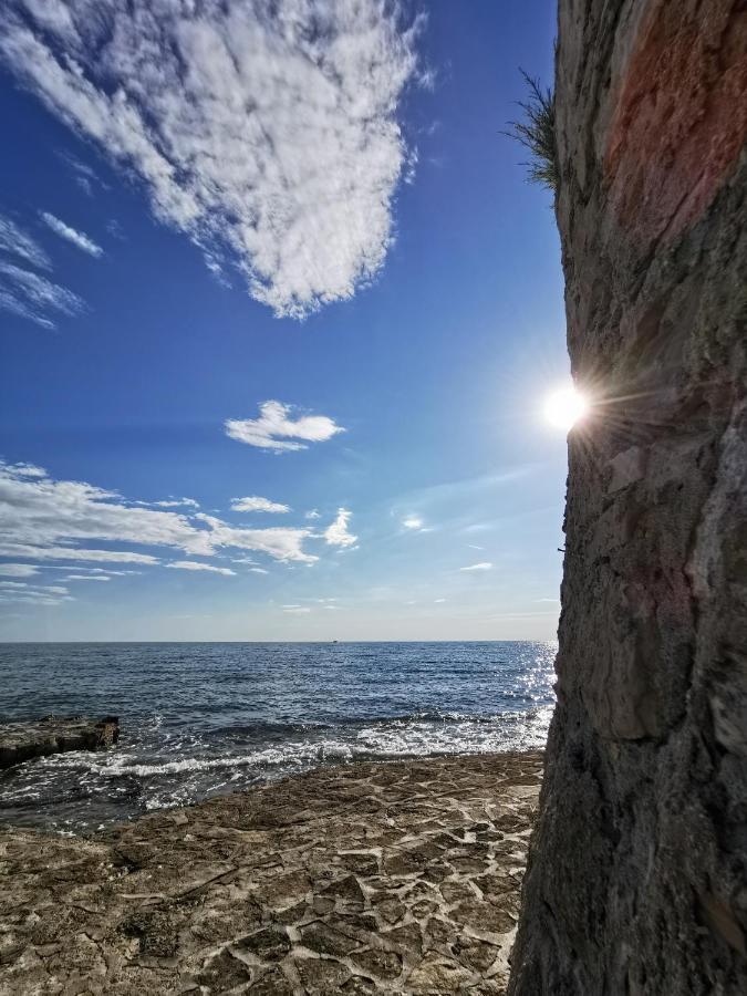 Lora Deluxe Superior 5 Star Apartment, Your Piece Of Heaven By The Sea & Park With Sea & Park View Novigrad  Bagian luar foto