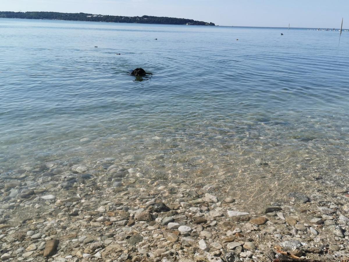 Lora Deluxe Superior 5 Star Apartment, Your Piece Of Heaven By The Sea & Park With Sea & Park View Novigrad  Bagian luar foto