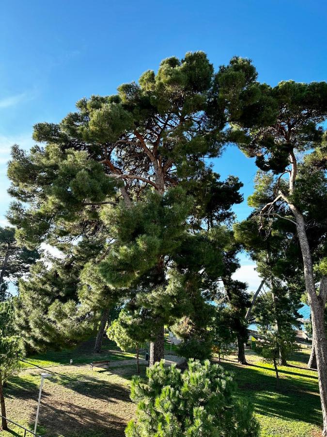 Lora Deluxe Superior 5 Star Apartment, Your Piece Of Heaven By The Sea & Park With Sea & Park View Novigrad  Bagian luar foto